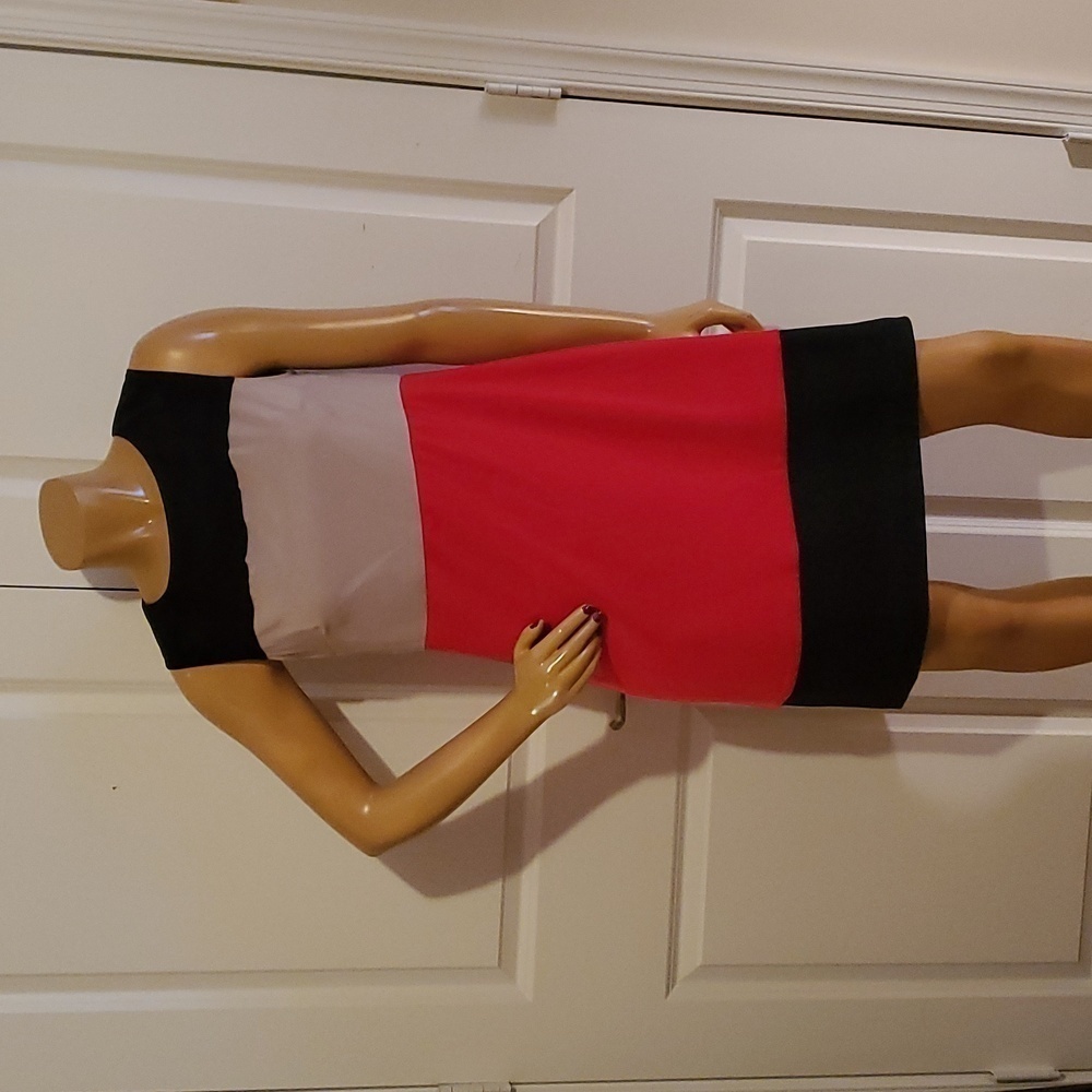 ALYX Petite  Dress Sz.12, NWT